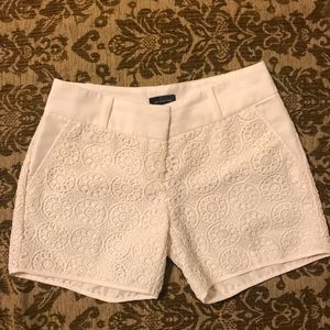 The Limited Shorts